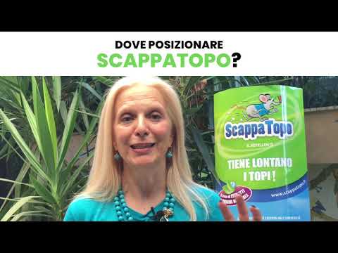 Dove posizionare ScappaTopo Risponde