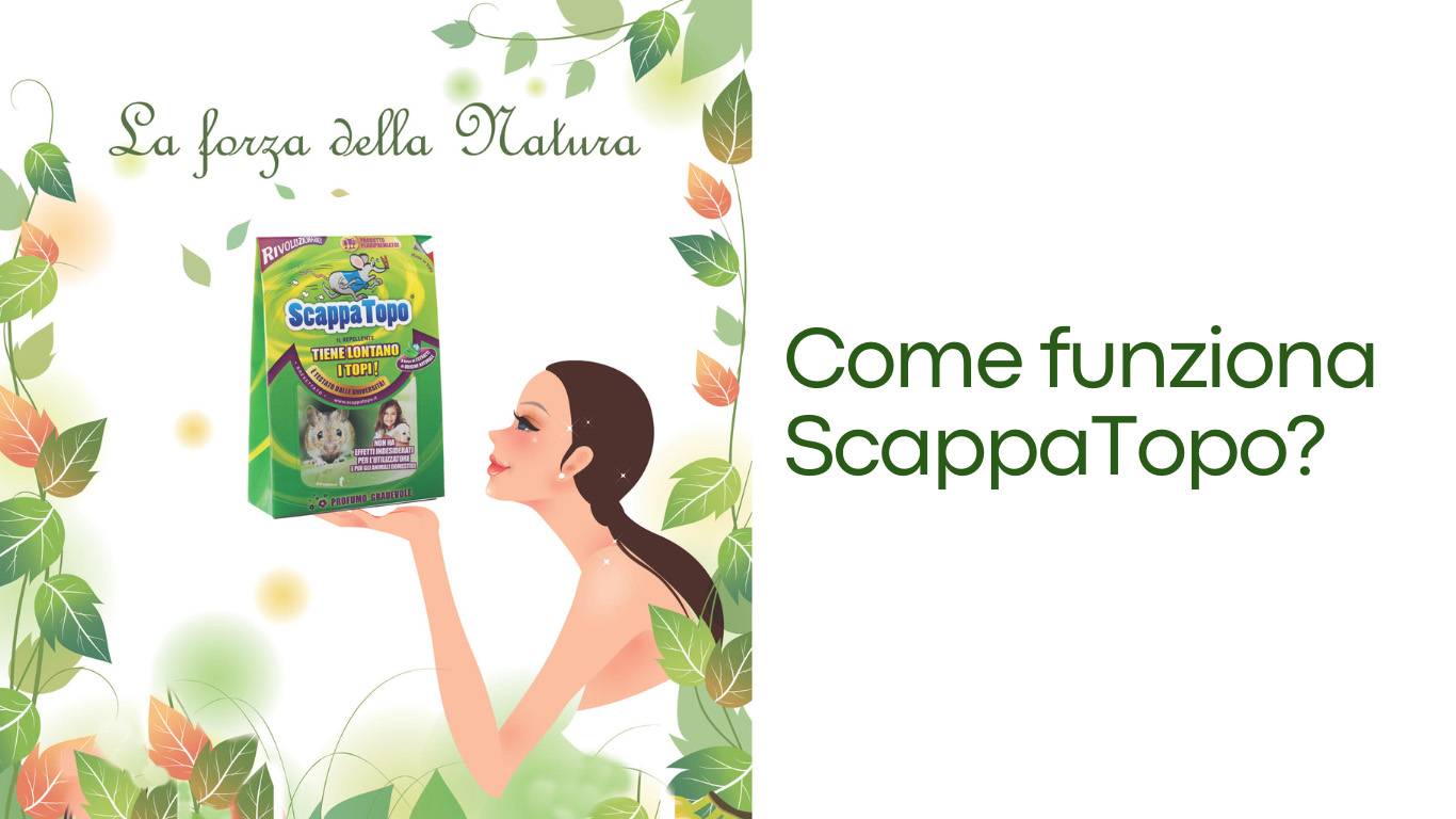 Come-funziona-Scappatopo
