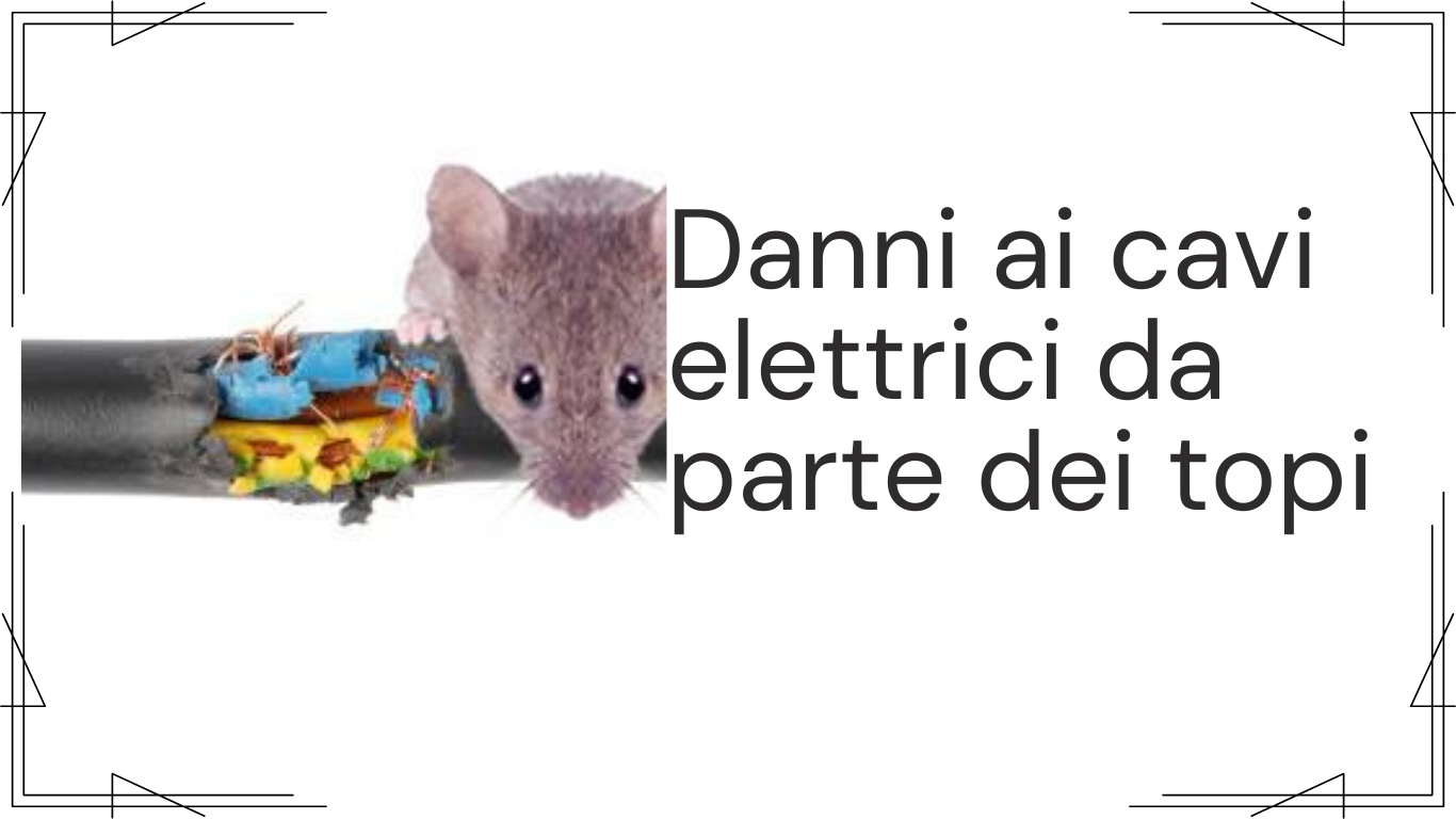 Danni-ai-cavi-elettrici-causati-dai-topi