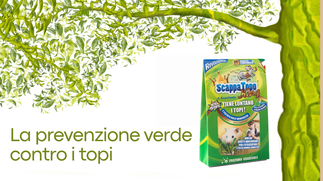 La-prevenzione-verde-contro-i-topi
