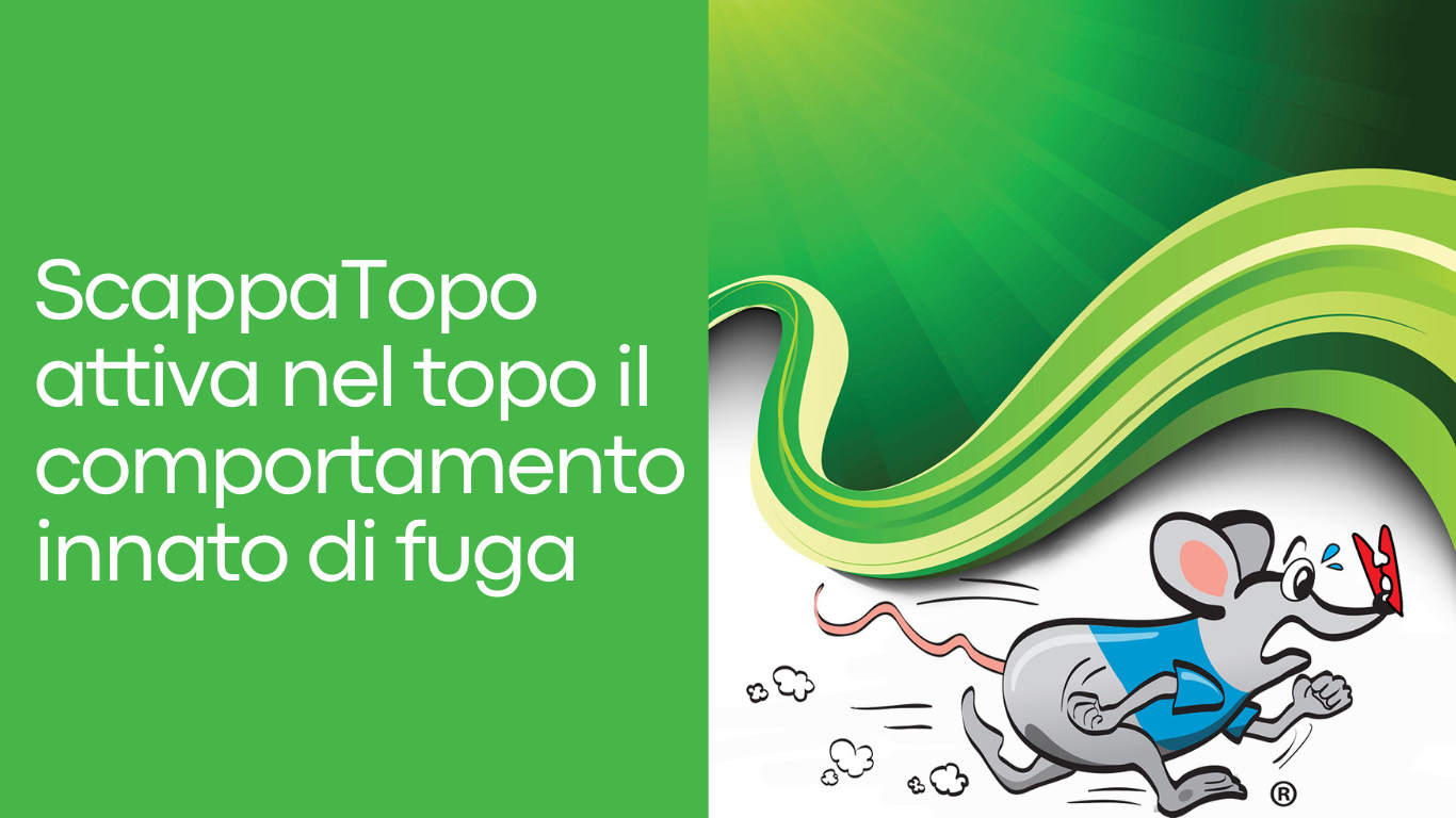 Scappatopo-fa-fuggire-il-topo