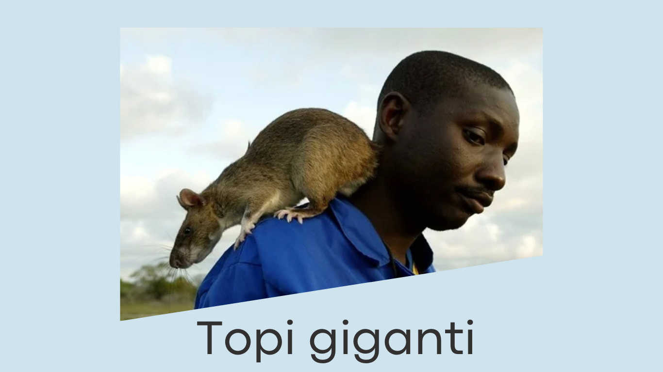 Topi-giganteschi