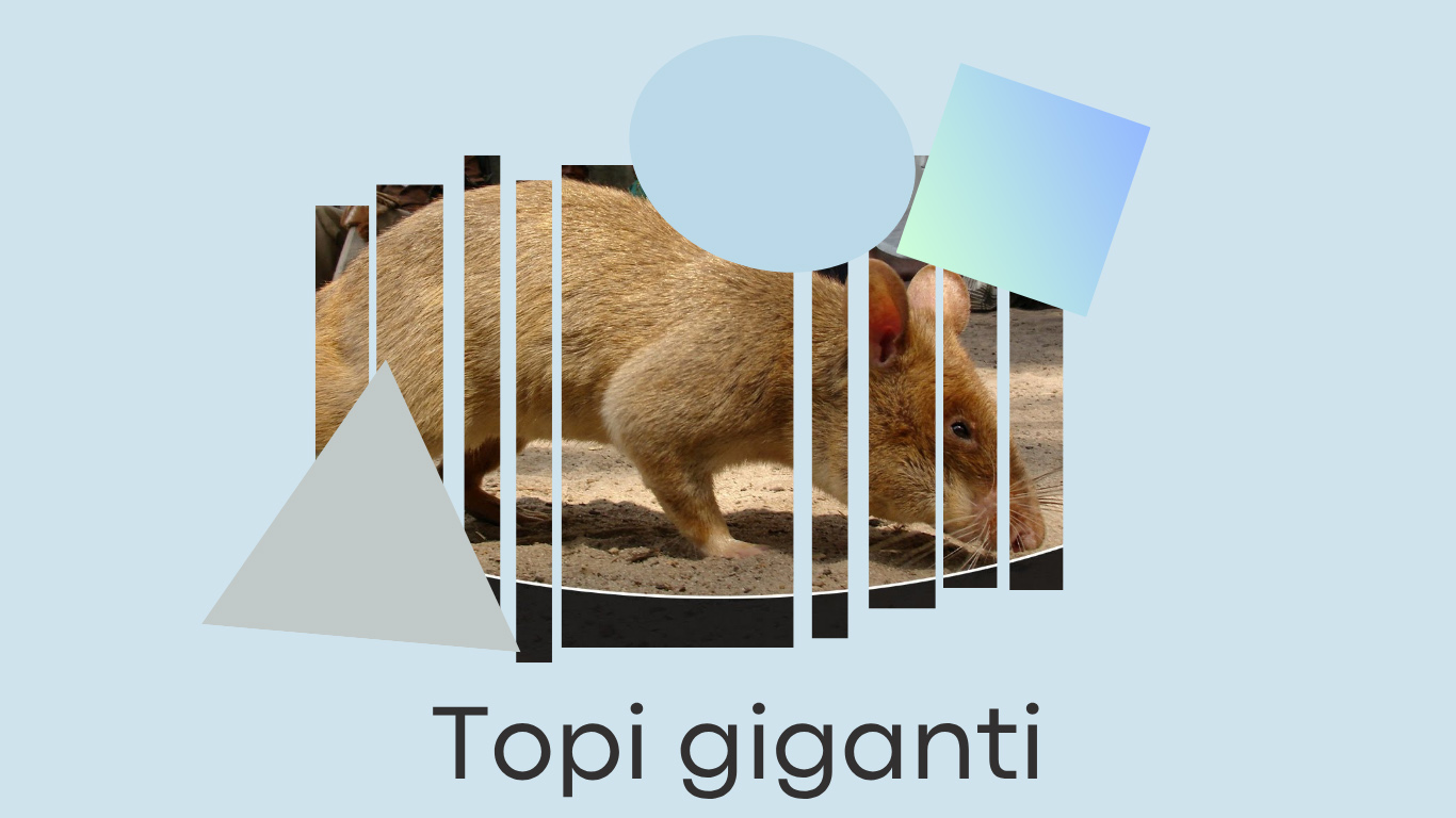 Topi giganti