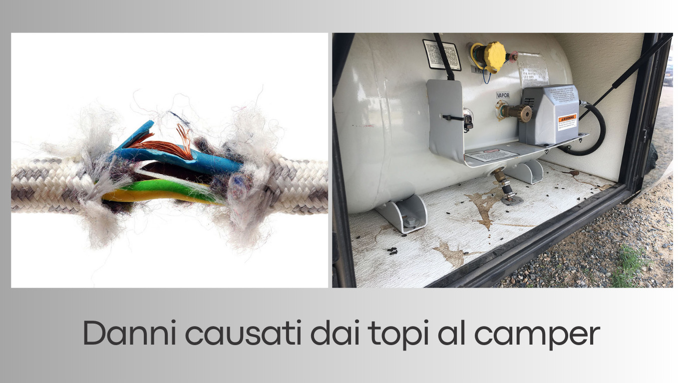 Danni-causati-dai-topi-al-camper