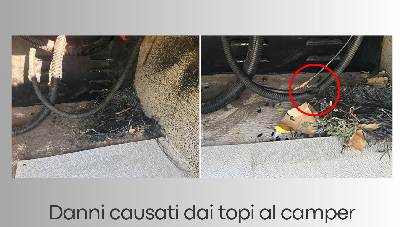 Danni-causati-dai-topi-nel-camper