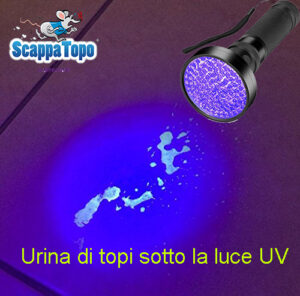 Urina-topi-UV