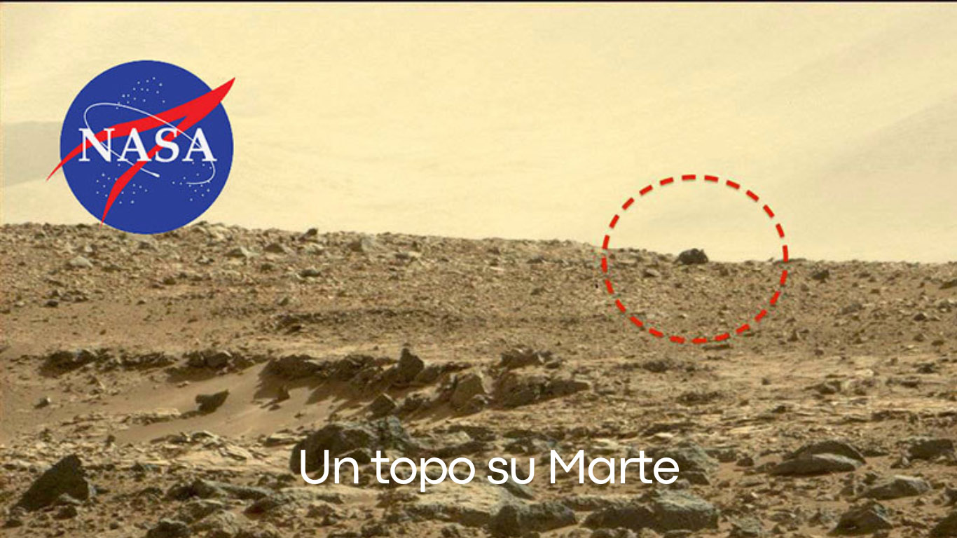 Un-topo-su-Marte